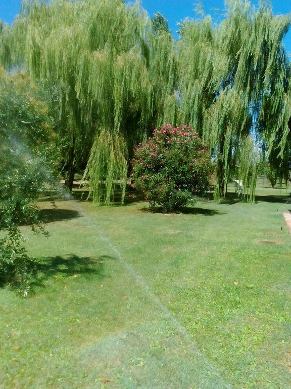 Agriturismo I Bosconi Чезена Экстерьер фото